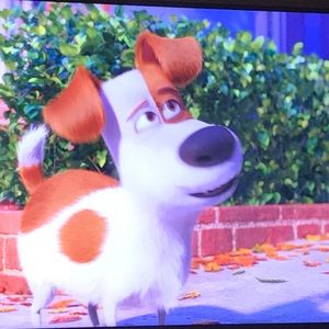 Meet your Posher, Elaine